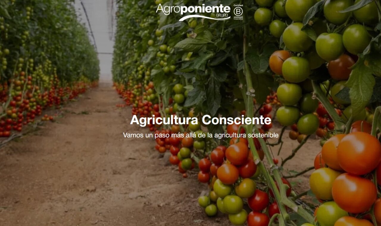 Agroponiente
