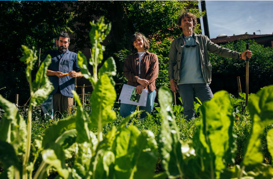 Tres personas en una huerta gallega rodeados de vegetación