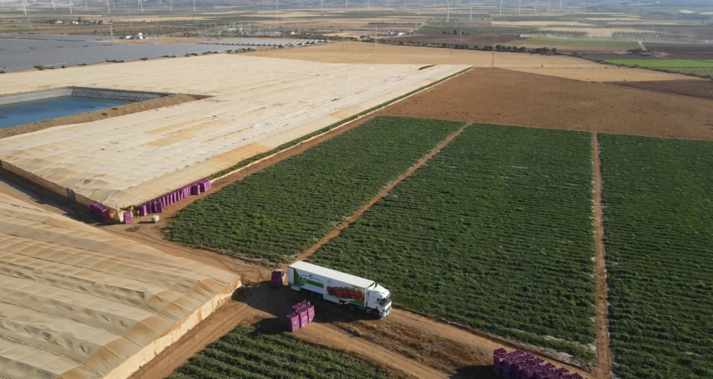 Vista aérea de un campo de sandías en Huéneja con un camión de recolección.