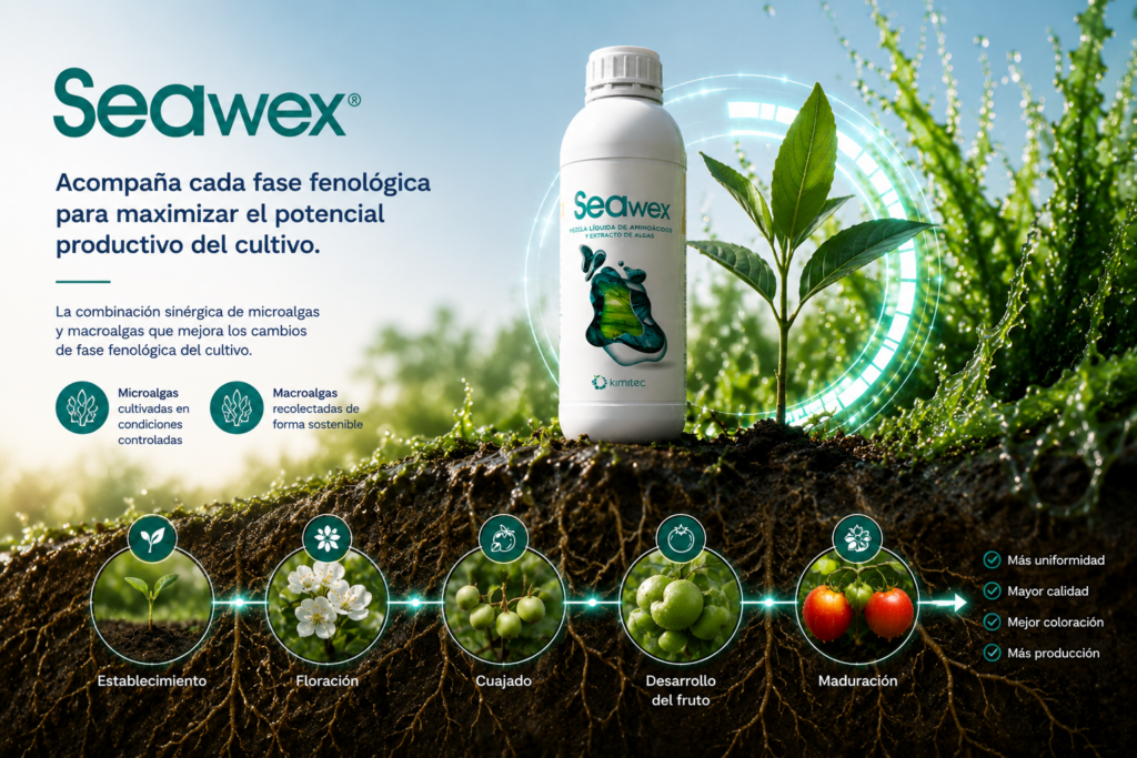 Botella de bioestimulante Seaweex en un cultivo agrícola