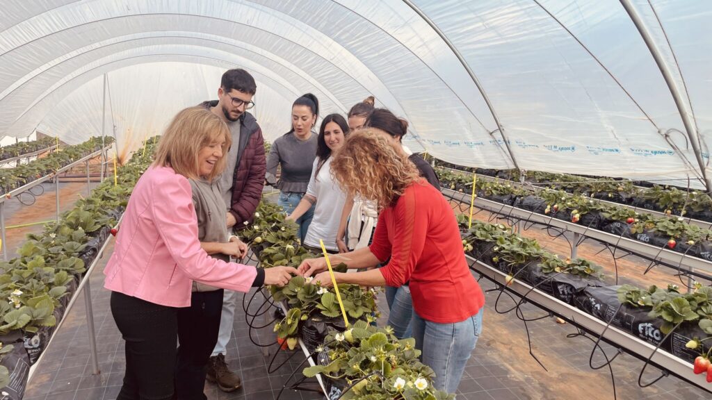 Investigadores en finca experimental de frutos rojos en Huelva