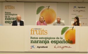 Panel de expertos discutiendo sobre la naranja española en Valencia
