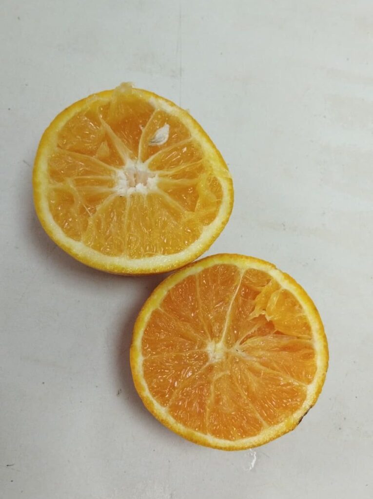 Naranja cortada mostrando su interior y textura.