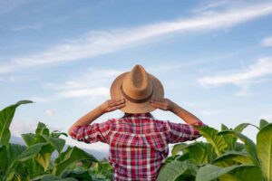 Joven agricultor observando un campo bajo un cielo despejado