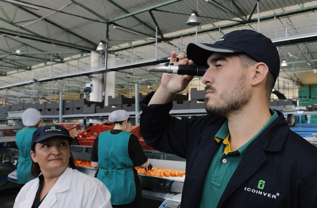 Trabajadores de Ecoinver Export en la planta de manipulación de productos hortofrutícolas